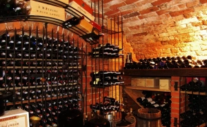 Dwór Chotynia Pałace, dworki, zamki / 0