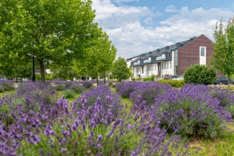 Medical SPA Hotel **** Lawendowe Termy