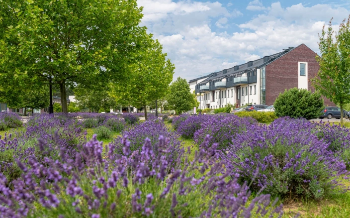 Sale konferencyjne Uniejów - Medical SPA Hotel **** Lawendowe Termy