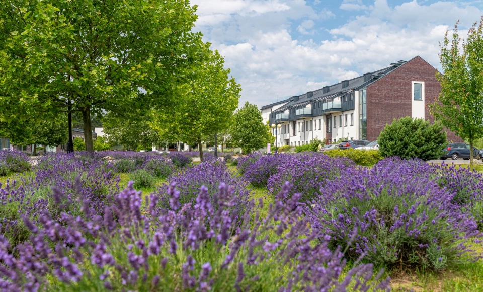 Medical SPA Hotel **** Lawendowe Termy