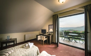 Hotel Dziki Potok *** Konferencje & SPA Hotel *** / 1