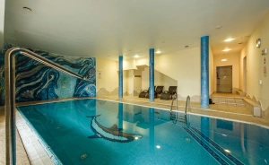 Hotel Dziki Potok *** Konferencje & SPA Hotel *** / 1