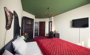 Hotel ***Kasztel Hotel *** / 1