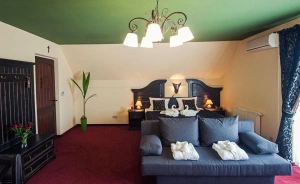 Hotel ***Kasztel Hotel *** / 3