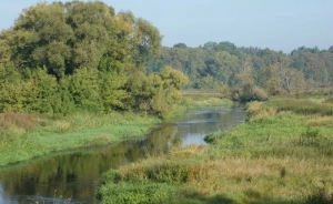 zdjęcie usługi dodatkowej, Pięć Dębów, Supraśl