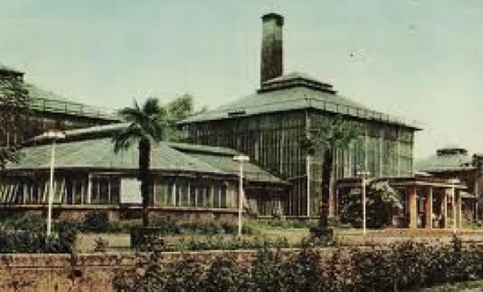 Palmiarnia Poznańska