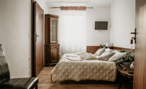 Rezydencja Leśna Chata Hotel SPA / 0