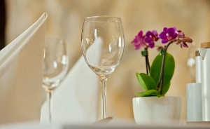 Hotel Kruk*** Hotel *** / 0