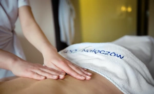 Hotel Termy Pałacowe w Nałęczowie Obiekt szkoleniowo-wypoczynkowy / 1