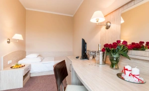 HOTEL ARENA spa & wellness Hotel *** / 0