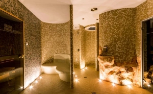 HOTEL ARENA spa & wellness Hotel *** / 2