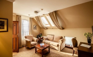 Hotel Zamek Topacz Resort & SPA Hotel **** / 0