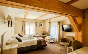 Hotel Zamek Topacz Resort & SPA Hotel **** / 2