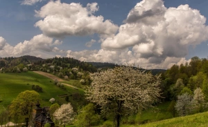 Hotel Czarny Potok Resort SPA & Conference Hotel ***** / 2