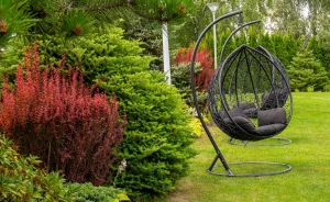 Bazuny Hotel*** & SPA Hotel *** / 1