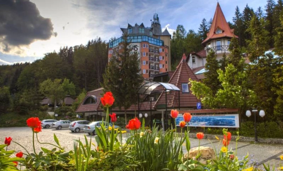 HOTEL LAS Piechowice ***