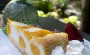 Ośrodek Szkoleniowo-Wypoczynkowy Delfin Ośrodek szkoleniowo- wypoczynkowy / 2