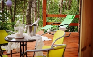 Ośrodek Szkoleniowo-Wypoczynkowy Delfin Ośrodek szkoleniowo- wypoczynkowy / 0