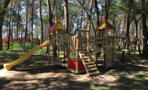 Ośrodek Szkoleniowo-Wypoczynkowy Delfin Ośrodek szkoleniowo- wypoczynkowy / 2