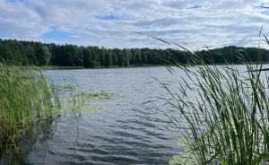 Ośrodek Szkoleniowo-Wypoczynkowy Delfin Ośrodek szkoleniowo- wypoczynkowy / 1