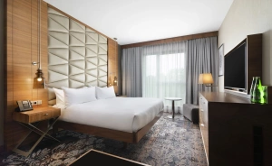 DoubleTree by Hilton Kraków Hotel & Convention Center Hotel **** / 0