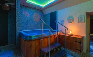 Centrum Green Hill Business & SPA Inne / 1