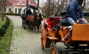 Hotel*** Dwór Mystkowo Obiekt konferencyjny / 0