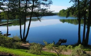 Ośrodek Wypoczynkowy LEŚNIK Ośrodek szkoleniowo- wypoczynkowy / 1