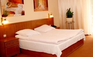 Hotel nad Pisą*** Hotel *** / 3