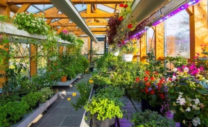 ROSEVIA RESORT & SPA Obiekt szkoleniowo-wypoczynkowy / 3