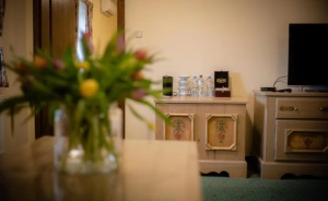 Hotel Górski Hotel *** / 1