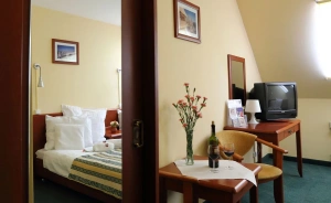 Hotel Fero Lux Hotel *** / 1