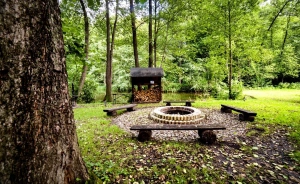 Hotel*** Dworek Wapionka Hotel *** / 1