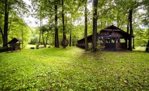 Hotel*** Dworek Wapionka Hotel *** / 3