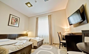 Hotel Picaro***Stok Hotel *** / 0