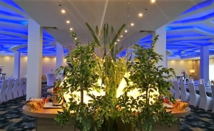 Green Garden Hotel*** Ośrodek szkoleniowo- wypoczynkowy / 3