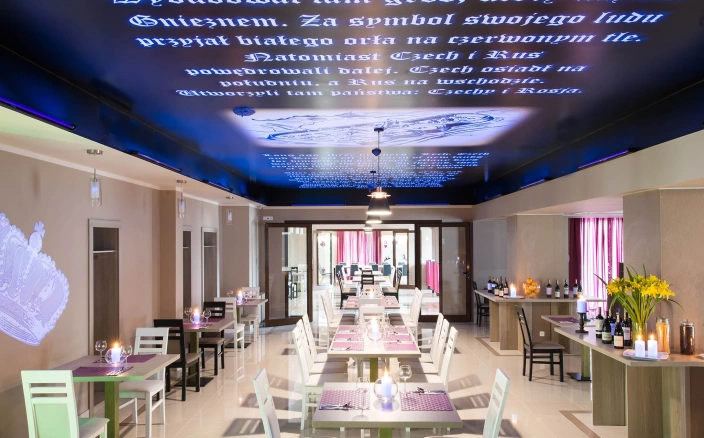 Sale konferencyjne Gniezno - ibis Styles Gniezno Stare Miasto