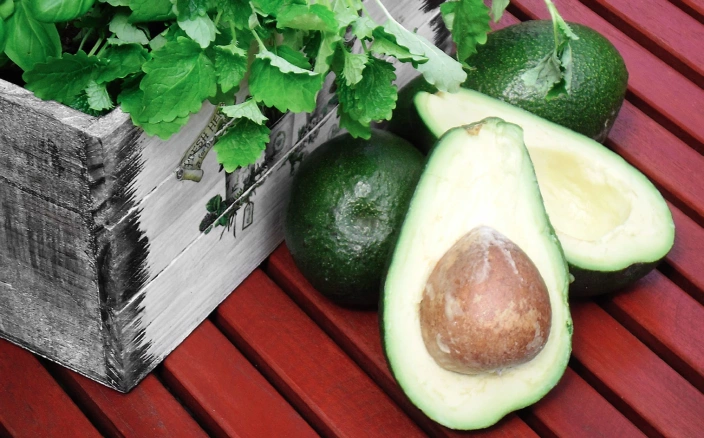 Sale konferencyjne Kraków - Awokado Lunch Bar - Sale Szkoleniowe