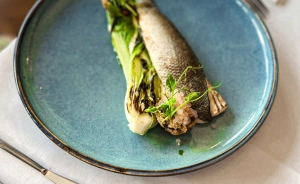 Aries Hotel & Spa Wisła Hotel ***** / 2