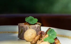 Aries Hotel & Spa Wisła Hotel ***** / 0