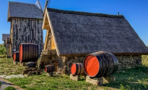 Skansen Bicz Family & SPA Pensjonat / 1