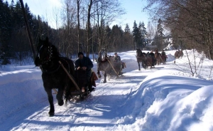 Dworek nad Bugiem Pałace, dworki, zamki / 3