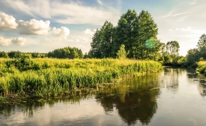 Bojarski Gościniec Obiekt szkoleniowo-wypoczynkowy / 2