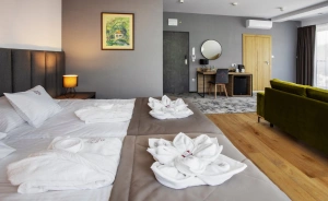 Beskid Balneo Medical Resort & SPA Hotel **** / 2