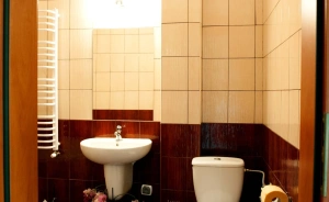 Pensjonat Leśny Dworek SPA & Garden Uzdrowisko Wśród Natury Pensjonat / 3