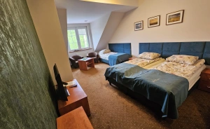 Pensjonat Leśny Dworek SPA & Garden Uzdrowisko Wśród Natury Pensjonat / 0