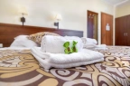 Hotel *** Hotel Zielony  / 13