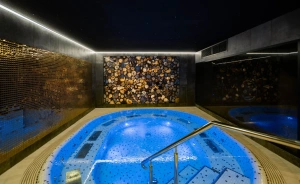 Hotel Sante **** Hotel **** / 1