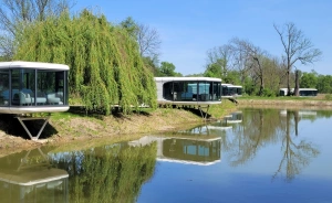 Pałac Wieniawskich Glamping Wyjątkowe miejsce / 3