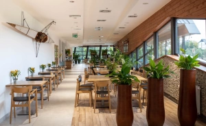 Hotel Termalny Hotel **** / 0